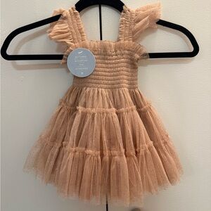 Hill House Baby Ellie Nap Dress - Blush Glitter Tulle size 12-18M